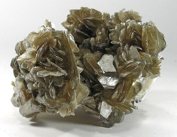 muscovite
