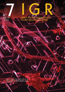 Copertina IGR