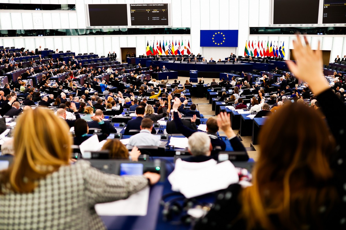 Seduta plenaria, Parlamento Europeo. 