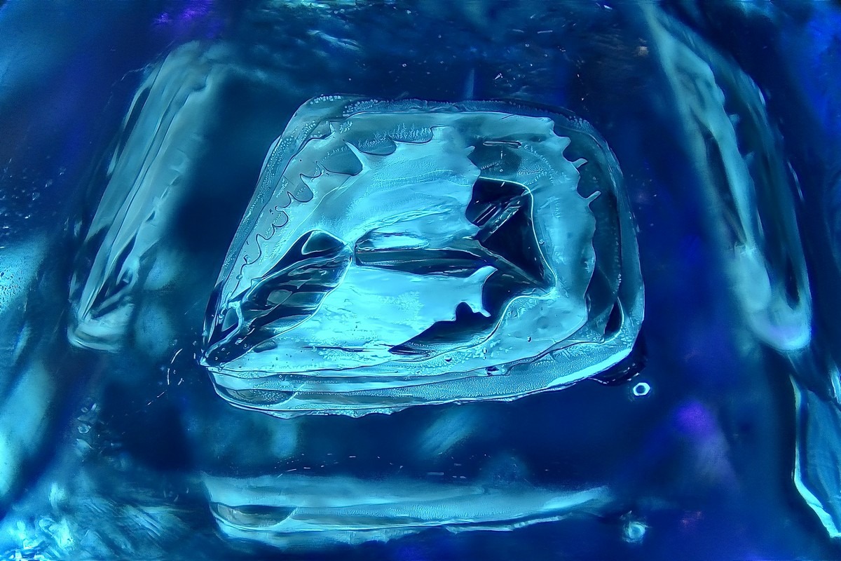 Fotomicrografia “Under the Deep Blue See”, di Amélie Snyers.