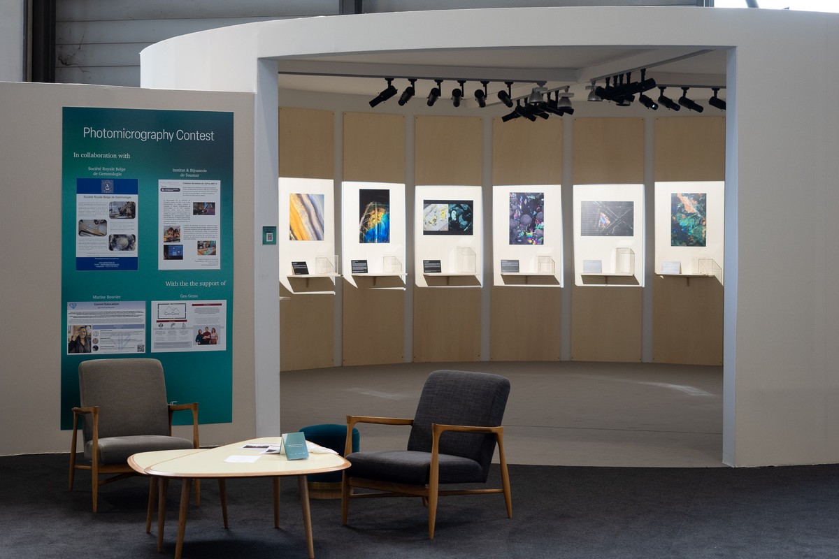 Il Contest di fotomicrografie di GemGenève