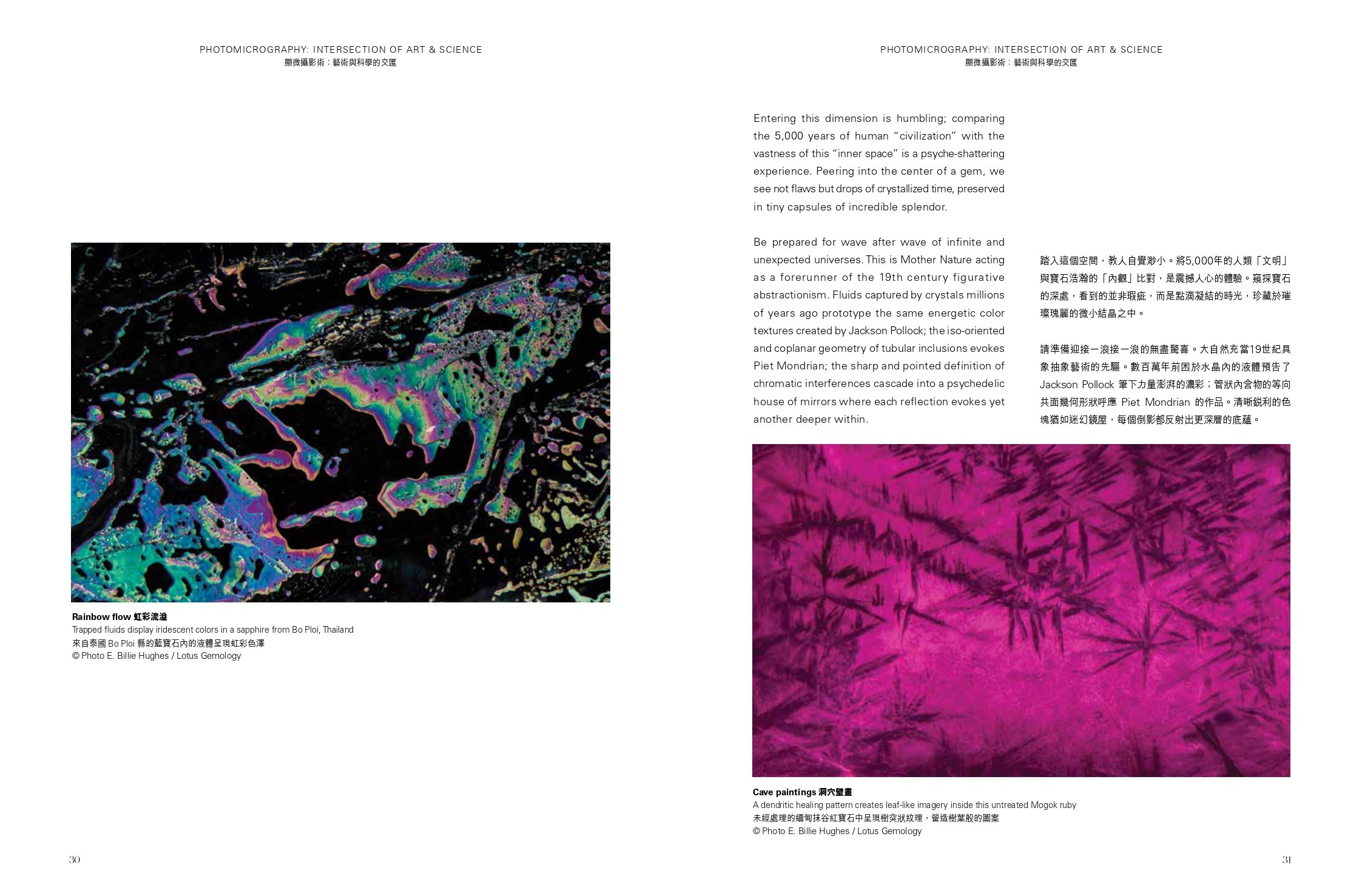 Le prime pagine dell’articolo di Billie Hughes, Richard Hughes e Paolo Minieri all’interno del booklet “Photomicrography: Intersection of Art & Science”, rilasciato in occasione della mostra “Ruby”