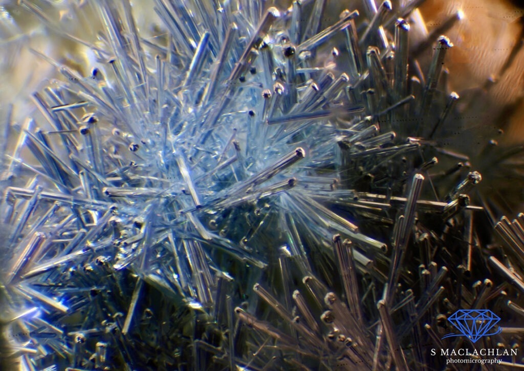 Foto 2: Dumortierite in quarzo. Si tratta di una sovrapposizione di 26 immagini in stacking scattate con ingrandimento 80x