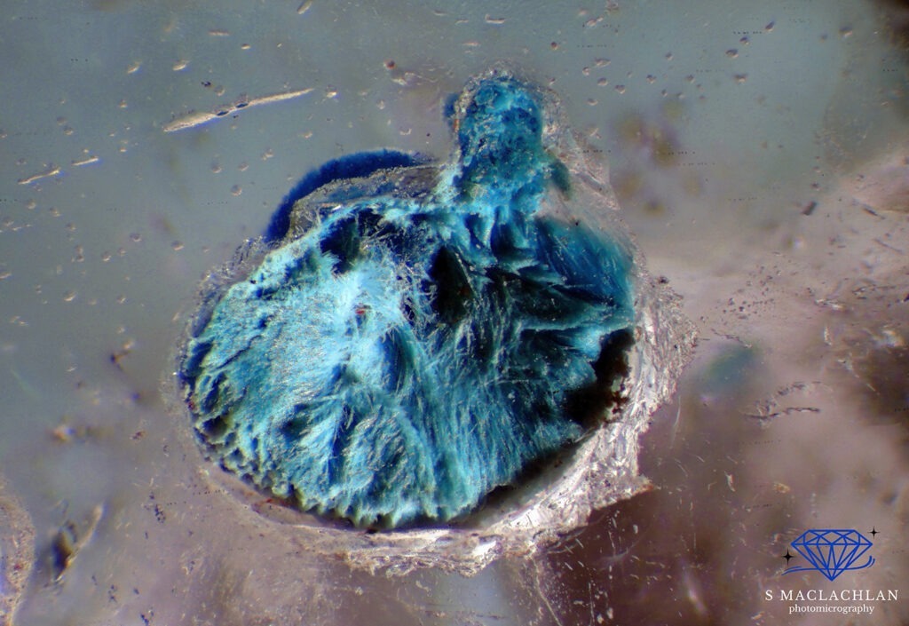 Foto 3: Gilalite nel quarzo. Si tratta di una sovrapposizione di 16 immagini in stacking scattate con ingrandimento 120x