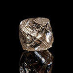 Gem News IGR 19