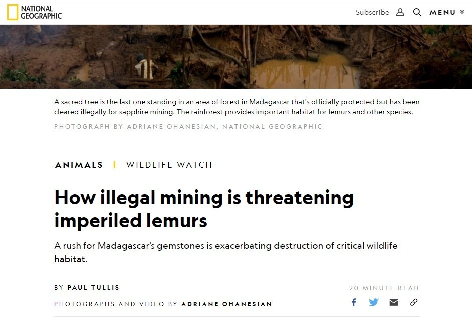 Figure 3a-3b Vincent Pardieu si è fortemente opposto all'articolo «How the sapphire trade is driving lemurs toward extinction. A rush for Madagascar’s gemstones is destroying remaining habitat for imperiled lemurs and other wildlife» i Paul Tullis (pubblicato il 6 marzo 2019). La marcia indietro di “National Geographic” è evidente. Inizialmente si parlava di estinzione dei lemuri, ma successivamente si è passati a parlare di "lemuri in pericolo". Dopo le obiezioni di Pardieu, il titolo è stato modificato e il testo revisionato più volte