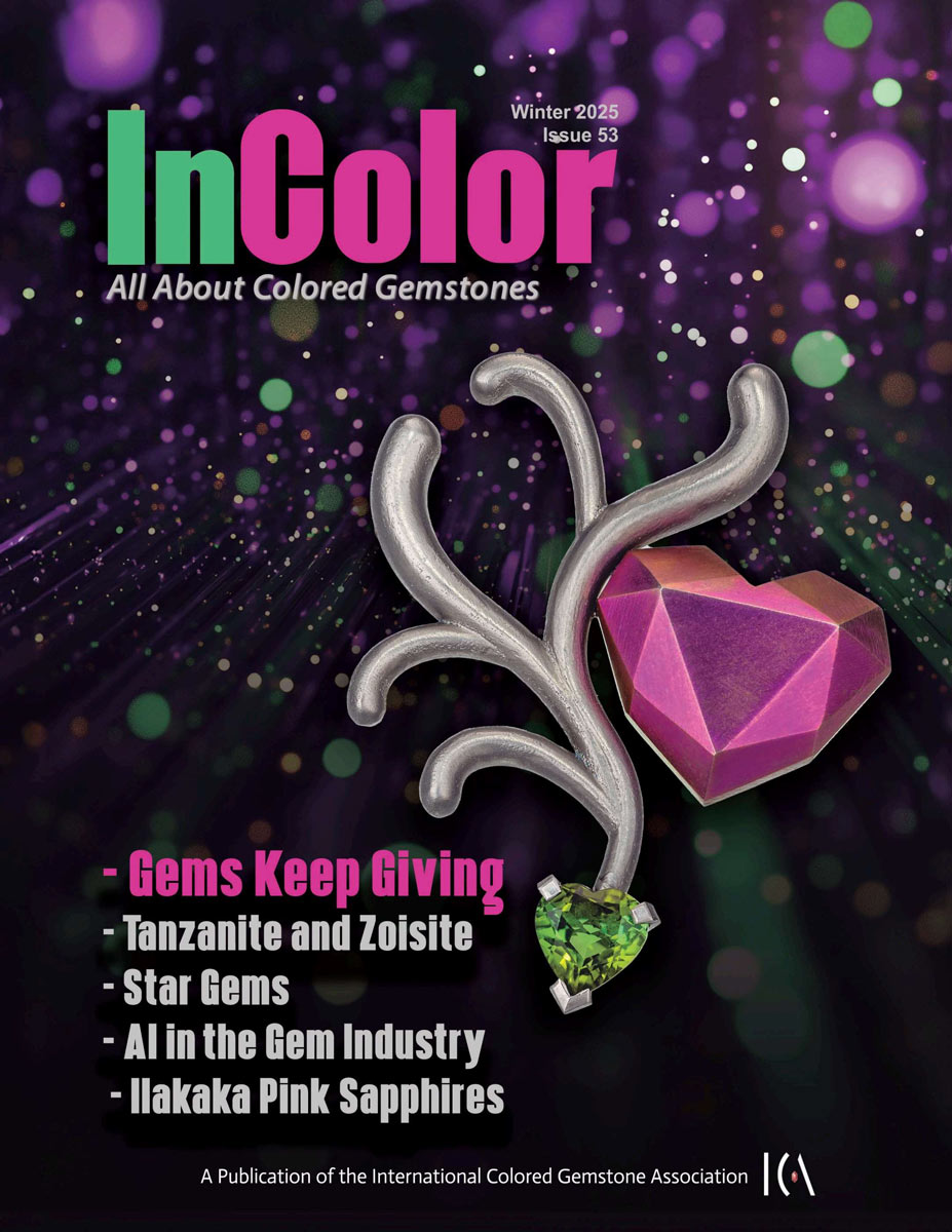 Copertina di InColor 53