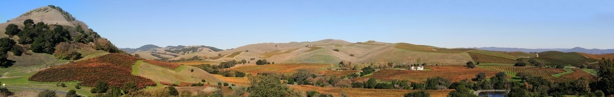 Contea di Napa, California, USA