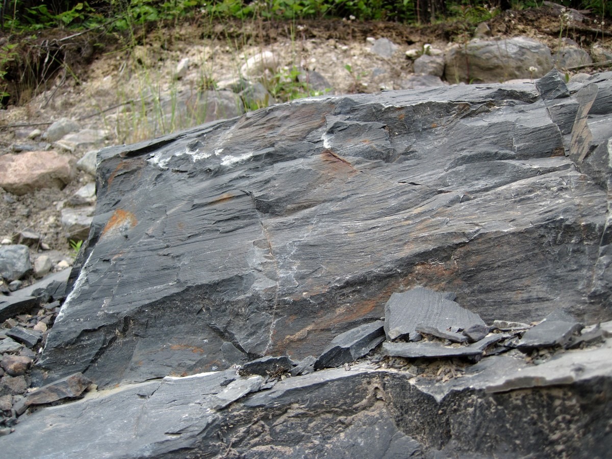 argillite