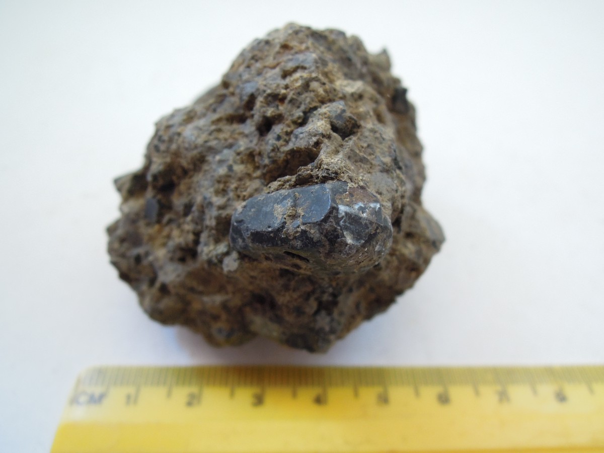 Anfiboli