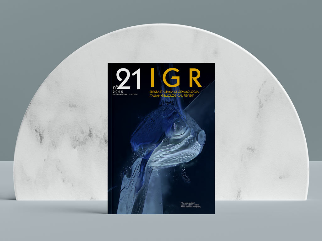 igr 21 eng cover