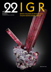 cover igr 22 eng