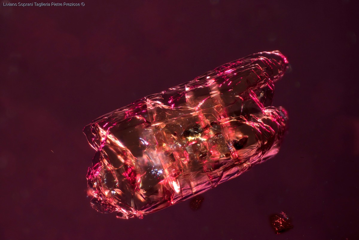 Cristalli con geminazione di contatto di Apatite, all’interno di un Granato Almandino, mostrano fratture interne e inclusioni scure. Stacking di 25 immagini scattate a 70X, 2,00mm FoV e illuminazione in campo oscuro