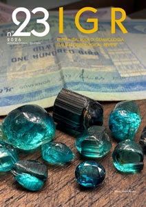 Cover IGR 22 eng