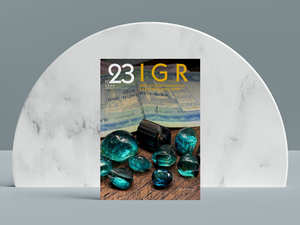 IGR No.22
